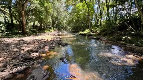 Rural no Maravilha