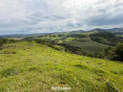 CHÁCARA E SÍTIO
      à venda