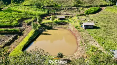 CHÁCARA E SÍTIO
      à venda