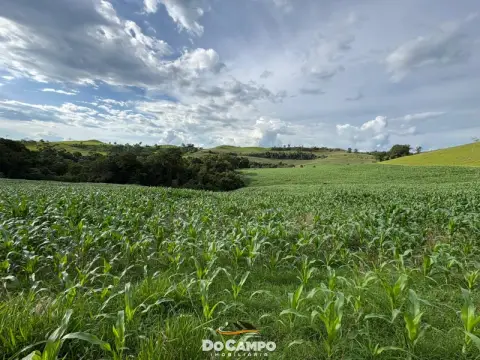 CHÁCARA E SÍTIO
      à venda