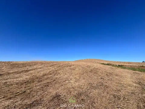 CHÁCARA E SÍTIO
      à venda