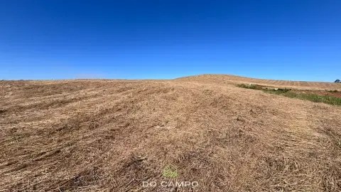 Chácara no Maravilha