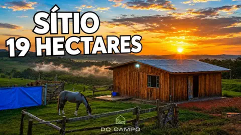 CHÁCARA E SÍTIO
      à venda