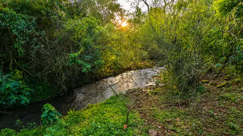 Área 12 hectares em Tigrinhos