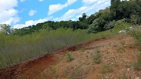 Lote para Venda, Maravilha / SC, bairro Loteamento Colina Verde, área total 364 m²