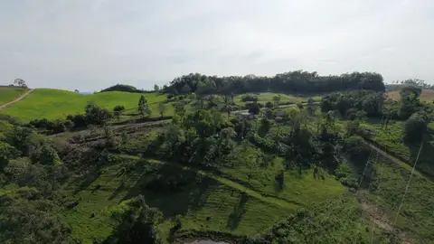Chacará a venda entre Maravilha e São Miguel da Boa Vista