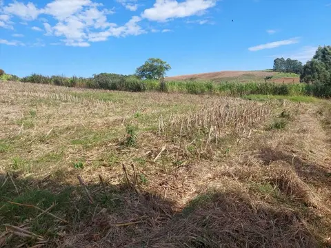 Chácara no Linha 51
