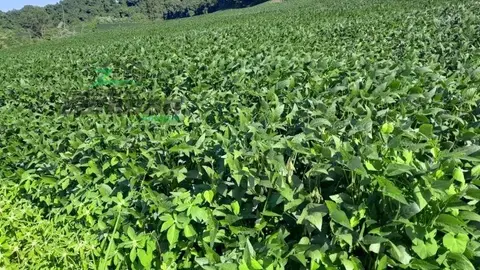 Chácara no Interior