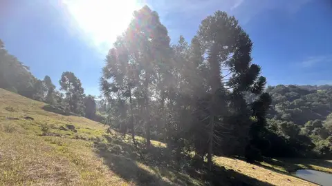 Lote rural no Linha Três Coqueiros