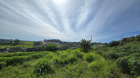 Lote urbano no Frei Damião